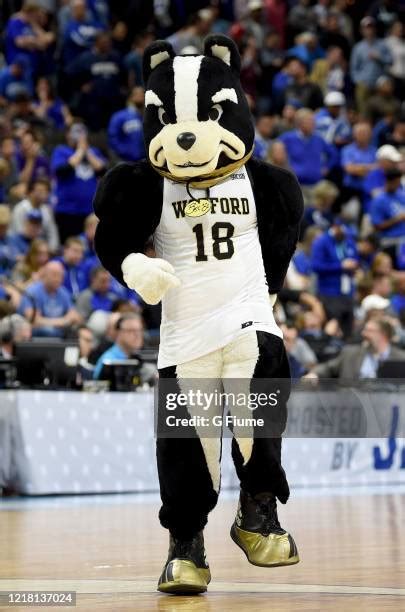 Wofford Mascot Photos and Premium High Res Pictures - Getty Images