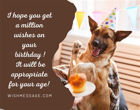 Funny Happy Birthday Wishes, Images or Memes | WishMessage