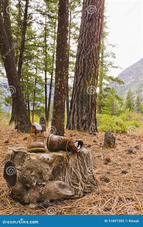 Old hiking boots stock image. Image of trekking, outdoors - 51897305