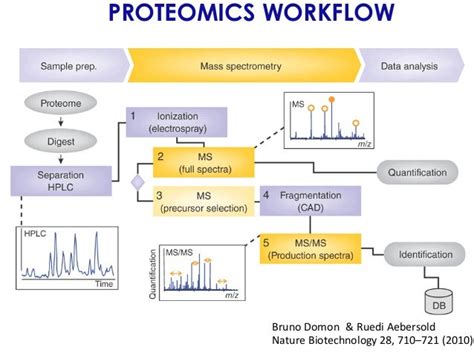 The Galaxy framework as a unifying bioinformatics solution for multi-…