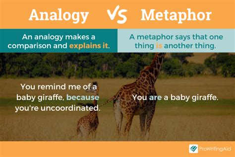 Analogy: Definition & Meaning (with Examples) - The Grammar Guide