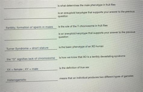 Solved is what determines the male phenotype in fruit flies | Chegg.com