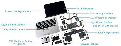 Label Parts Of Apple