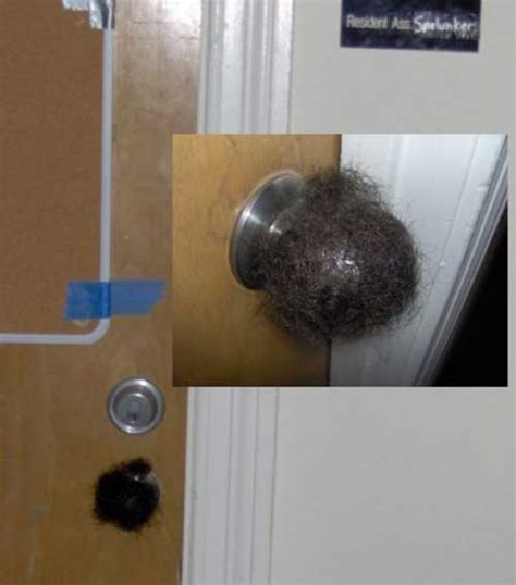 Bedrooms Pranks Are Quite Possibly The Best Pranks