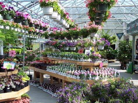 23++ Flower nursery near me ideas in 2021 | Botanica Bali