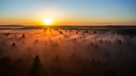 Fog Forest Horizon Lithuania Nature Sunset Wallpaper - Resolution:2048x1152 - ID:1077695 ...