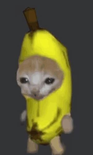 Banana Cat GIF - Banana Cat - Descubre y comparte GIF