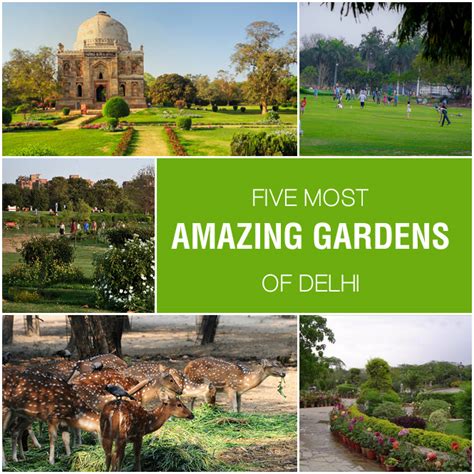 Beautiful Parks And Gardens In Delhi | Fasci Garden