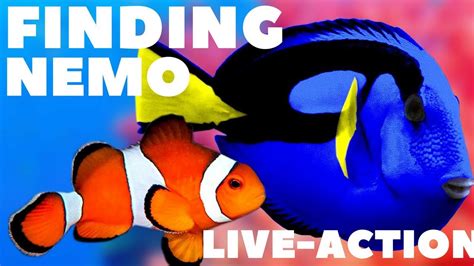 Finding Nemo live-action trailer | 2019 - YouTube