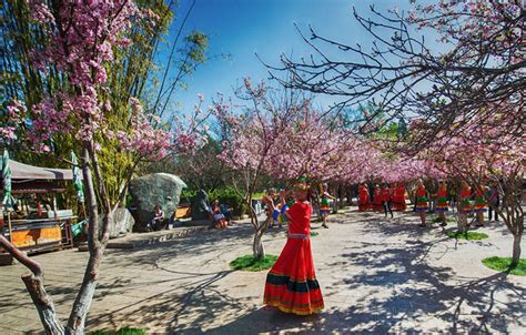 Green Lake Park Kunming, Kunming Attraction