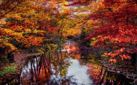 nature, Landscape, River, Leaves, Colorful, Trees, Fall, Water, Reflection, Foliage, Maine ...