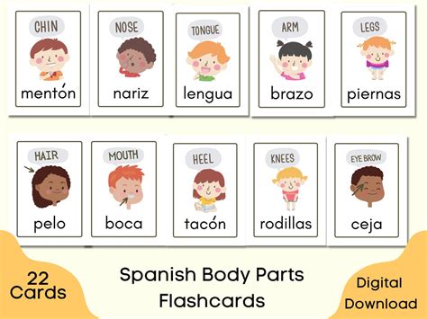 Spanish Body Parts Flashcards Printable 22 Spanish - Etsy