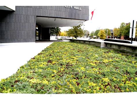 London City Hall, Ontario - Greenroofs.com