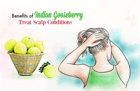 Top 45 Benefits of Indian Gooseberry Juice for Skin, Hair, Health