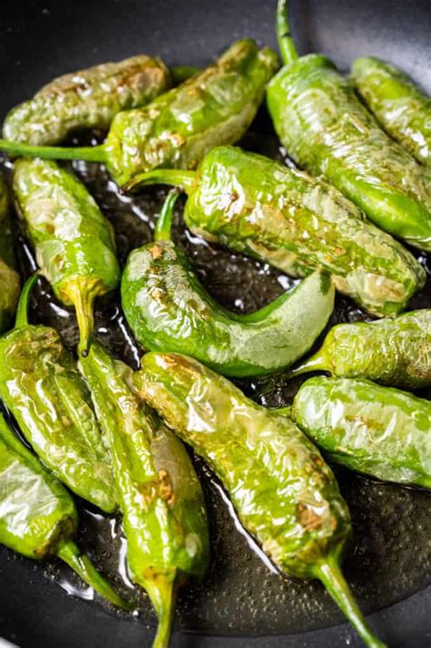 Best Padrón Peppers Recipe - How to Cook Pimientos de Padrón - Spanish ...