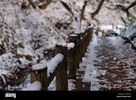 Winter in Minoh Park Osaka Japan Stock Photo - Alamy