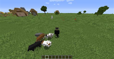 More Dog Colors And Breeds *WIP* Minecraft Texture Pack