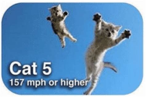 Hurricane Cat-egories Presented By A Cat Wind Scale - Cheezburger ...