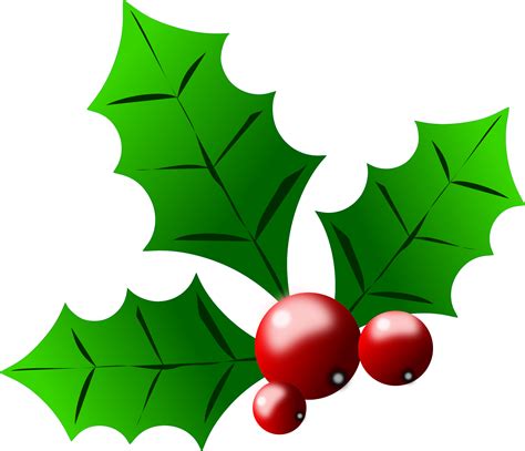 Clipart - holly berries