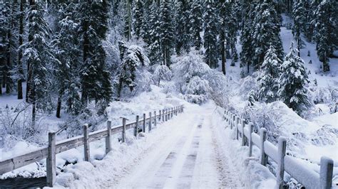 Snow Fall Wallpapers - Wallpaper Cave