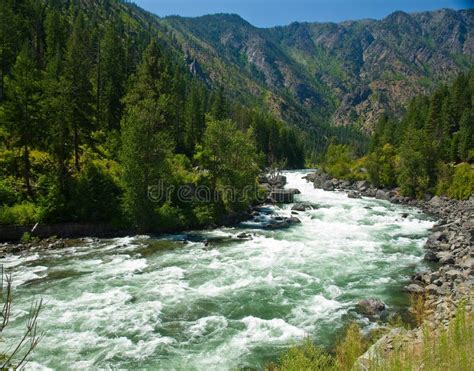 A River Flowing Through A Mountain Forest Stock Image - Image of creek ...