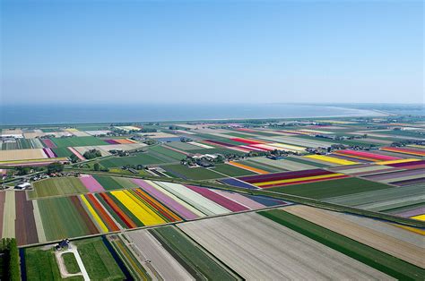 Aerial Photos Of Dutch Tulips In Bloom Look Like Earth In Pixels | DeMilked