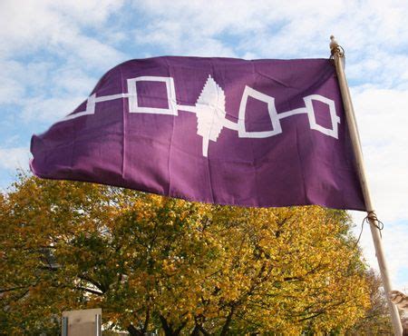 Iroquois Flag | Six nations, The first americans, My heritage