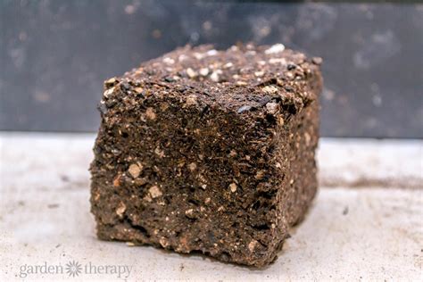 These Easy & Economical Soil Blocks Will Change How You Garden - Garden Therapy