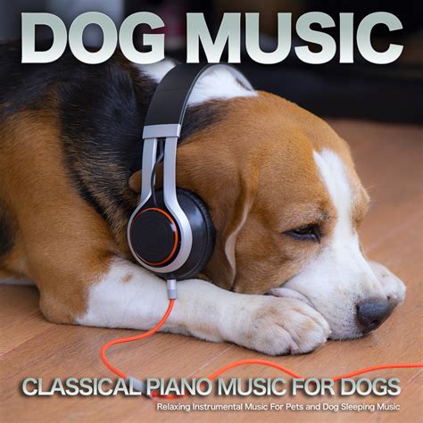 Dog Music & Sleeping Music For Dogs & Music For Dog's Ears - Morning ...