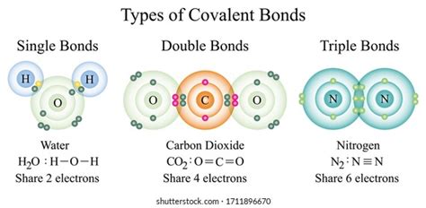 Double Covalent Bond