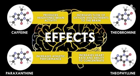 Caffeine Body Brain Impacts Effects - Business Insider