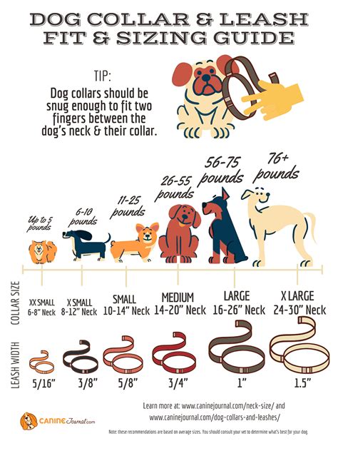 What's Your Dog Breed's Average Neck Size And Weight?