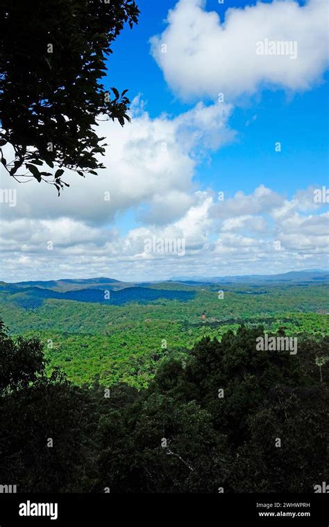 Views from Skyrail Rainforest Cableway in the Barron Gorge National ...