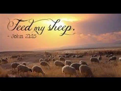 Feed My Sheep - John 21 | Feed my sheep, Sheep, Relief society quotes