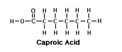 Hexanoic Acids