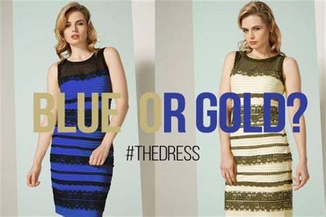 Blue or Gold? How the brand behind #TheDress monetized viral success | Campaign US