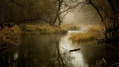 Download Wallpaper autumn, river, November, section природа Resolution ...