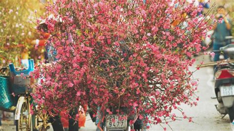 6 chợ hoa Tết nổi tiếng ở Hà Nội dịp Tết âm 2022 - Kiến Thức Cho Người ...