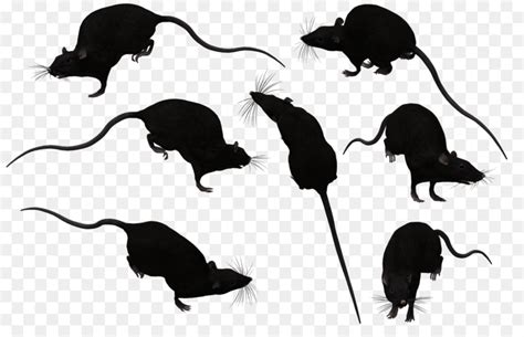 Free Rodent Silhouette, Download Free Rodent Silhouette png images ...