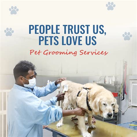 Best emergency pet hospital in Gurgaon | emergency vet clinic near me | CGS Hospital