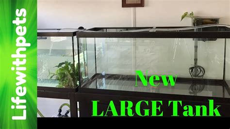 Dimensions Of A 75 Gal Aquarium - Aquarium Views