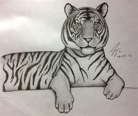 Easy Tiger Sketch at PaintingValley.com | Explore collection of Easy Tiger Sketch