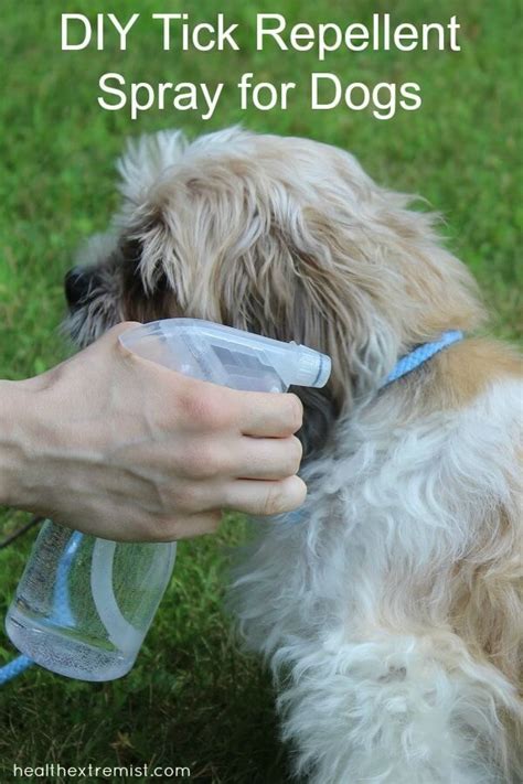 Homemade Tick Repellent, Tick Repellent For Dogs, Natural Tick Repellent, Bug Repellent, Flea ...