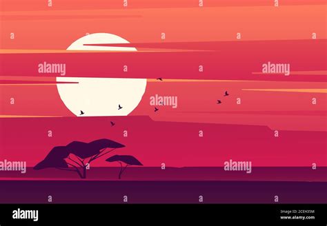 Vivid sunset over the african savanna. Vector illustration Stock Vector Image & Art - Alamy