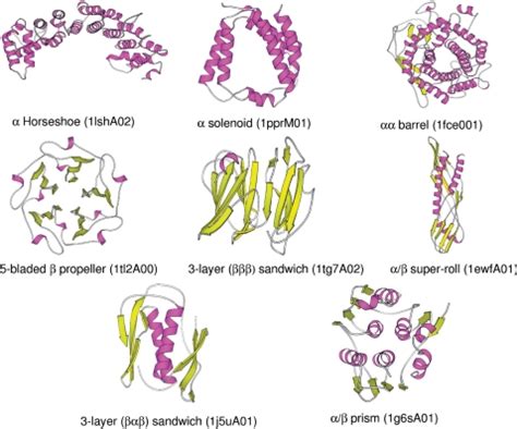 Examples of protein domains classified by CATH | Protein Portraits