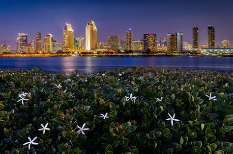 The San Diego Skyline | San Diego, California | Jared Weber Photography