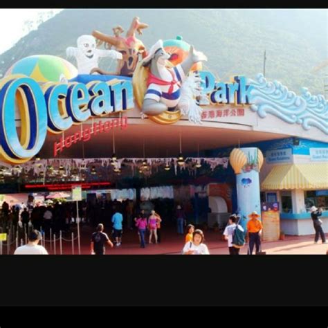 Hong Kong Ocean Park Tickets, Tickets & Vouchers, Local Attractions ...