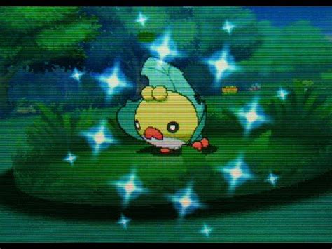 DEXNAV: Shiny Sewaddle after 258 Encounters on Route 104! (Pokemon Alpha Sapphire) - YouTube