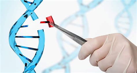 A CRISPR spin-off causes unintended typos in DNA