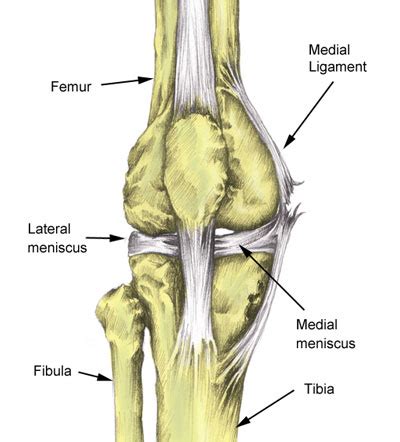 Lateral Meniscus Tear | Symptoms, Causes & Treatment